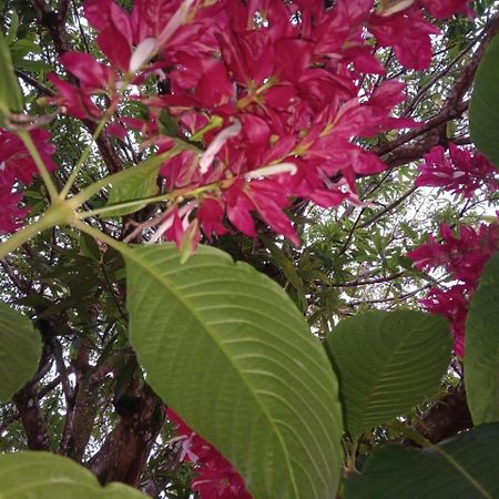 Casa Finca El Rosario San Marcos  Экстерьер фото